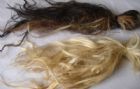 马尾原料-01